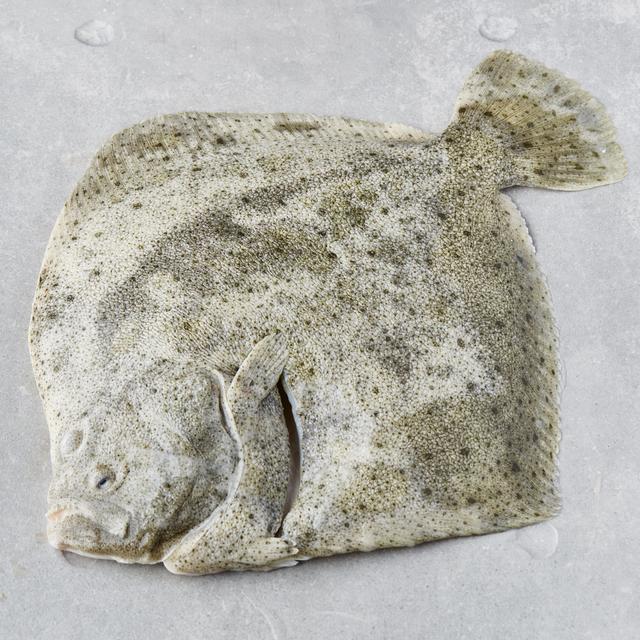 Piggvar, hel