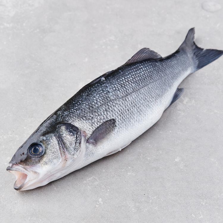 Havabbor hel - Seabass
