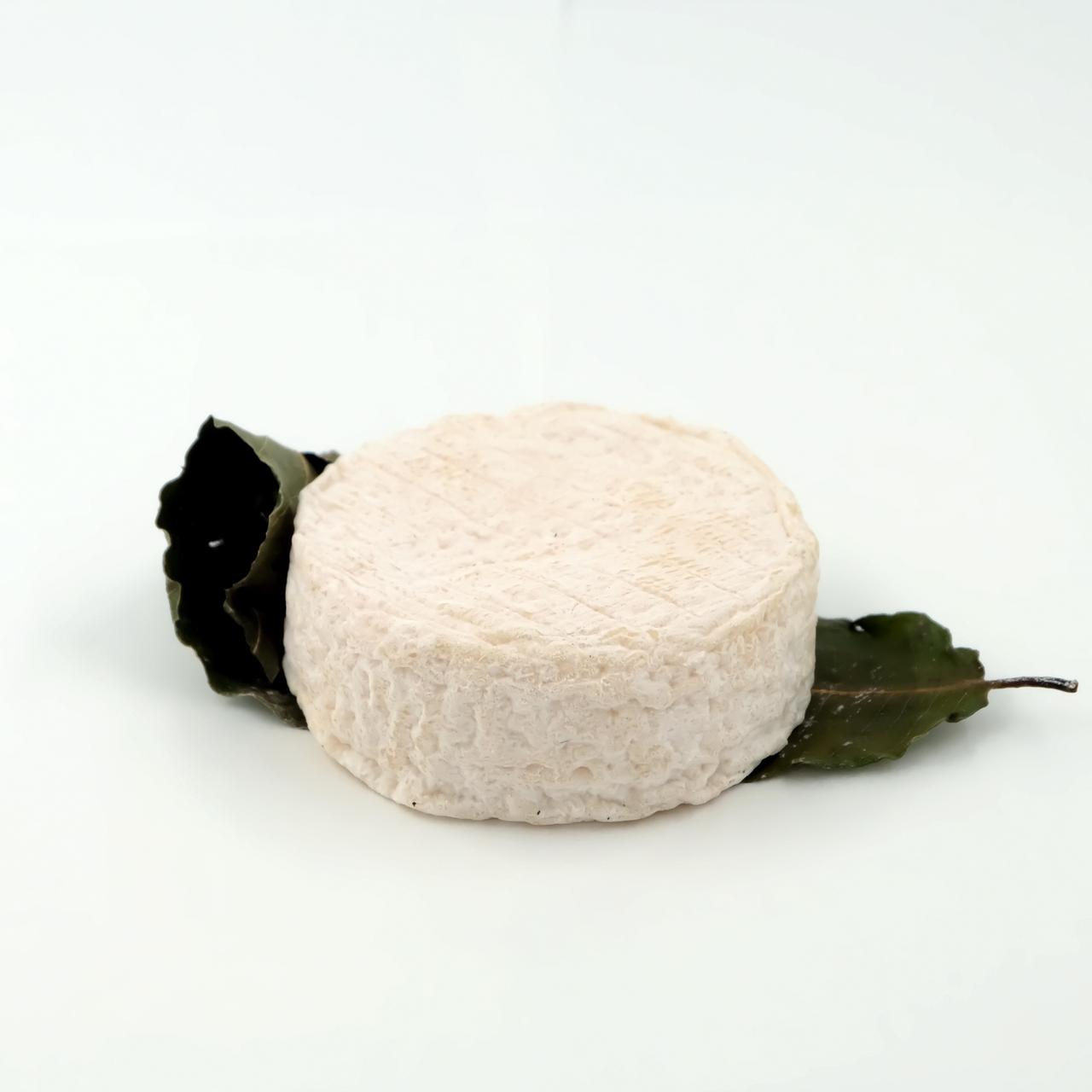Geitost - Mothais sur Feuille