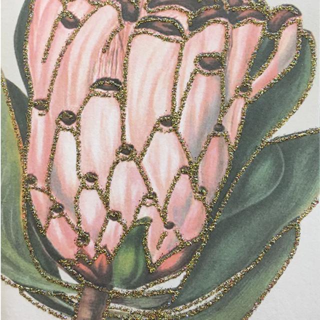 Kort med Protea