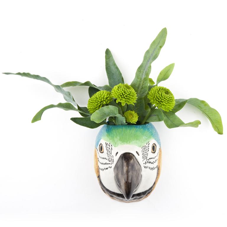 Papegøye vegg vase!🦜