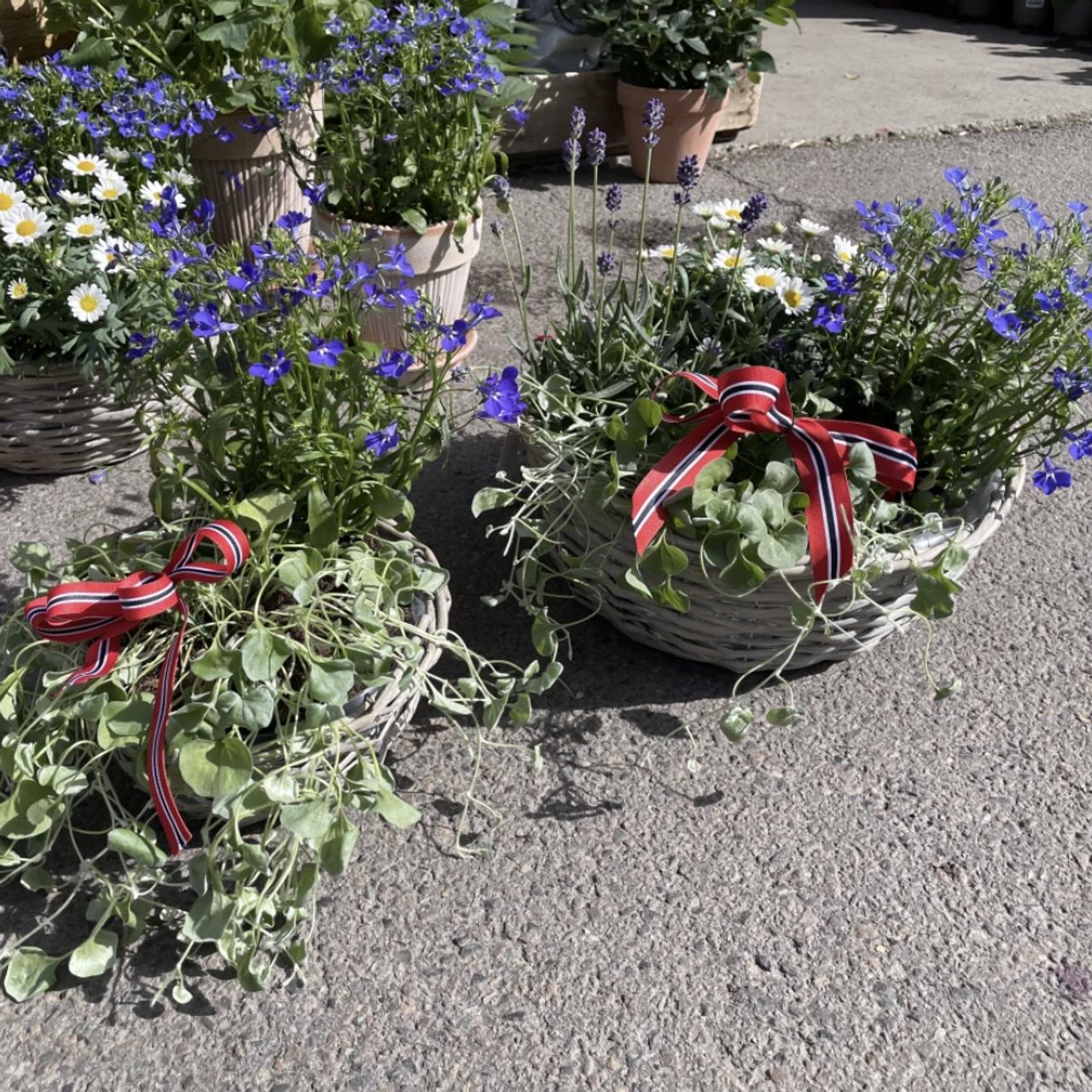 Blomster-kurv