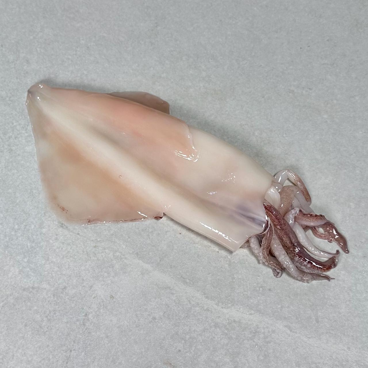 Akkar - Calamari