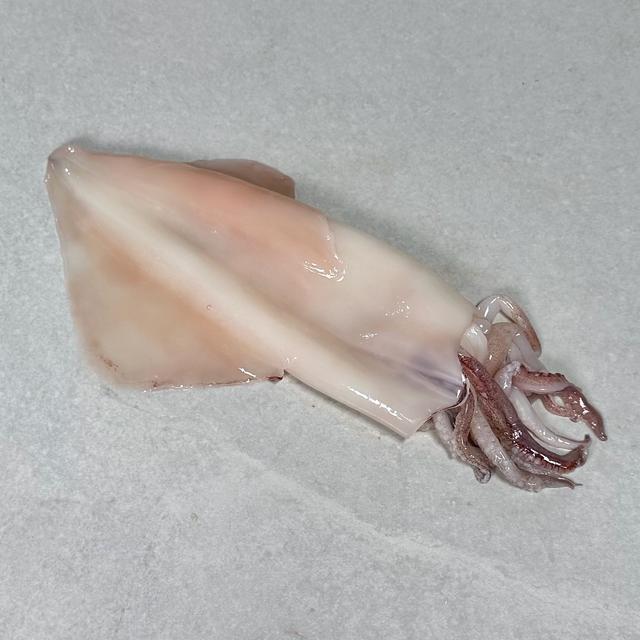 Akkar - Calamari