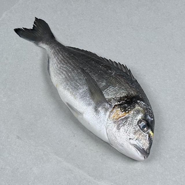 Dorade, hel