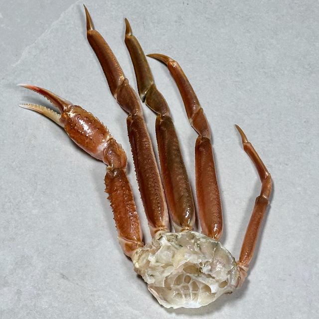 Snøkrabbe, rå / Snow Crab raw