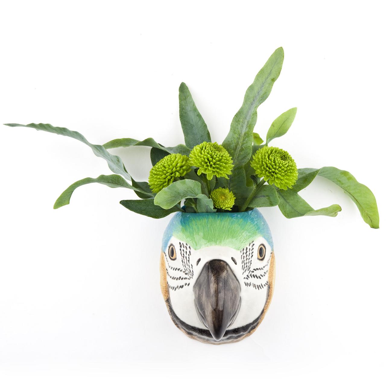 Papegøye vegg vase!🦜
