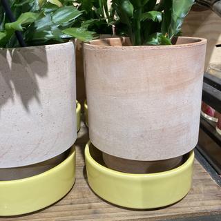 Hoff Pot 14.cm