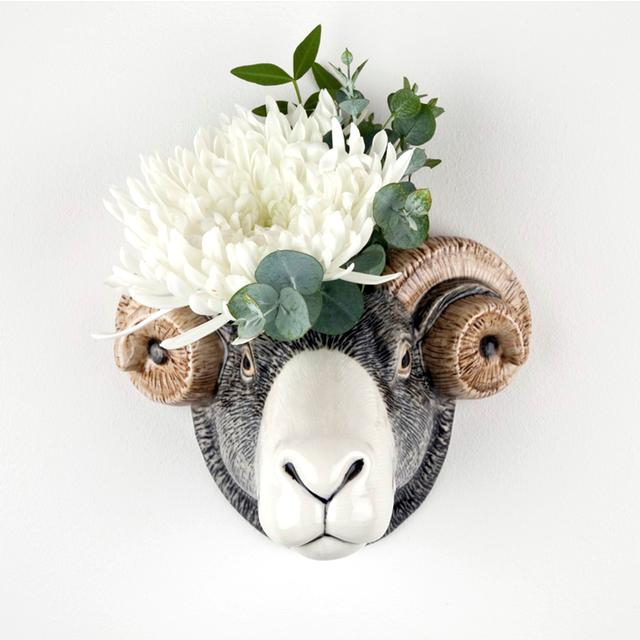 Bukk vegg vase🐏